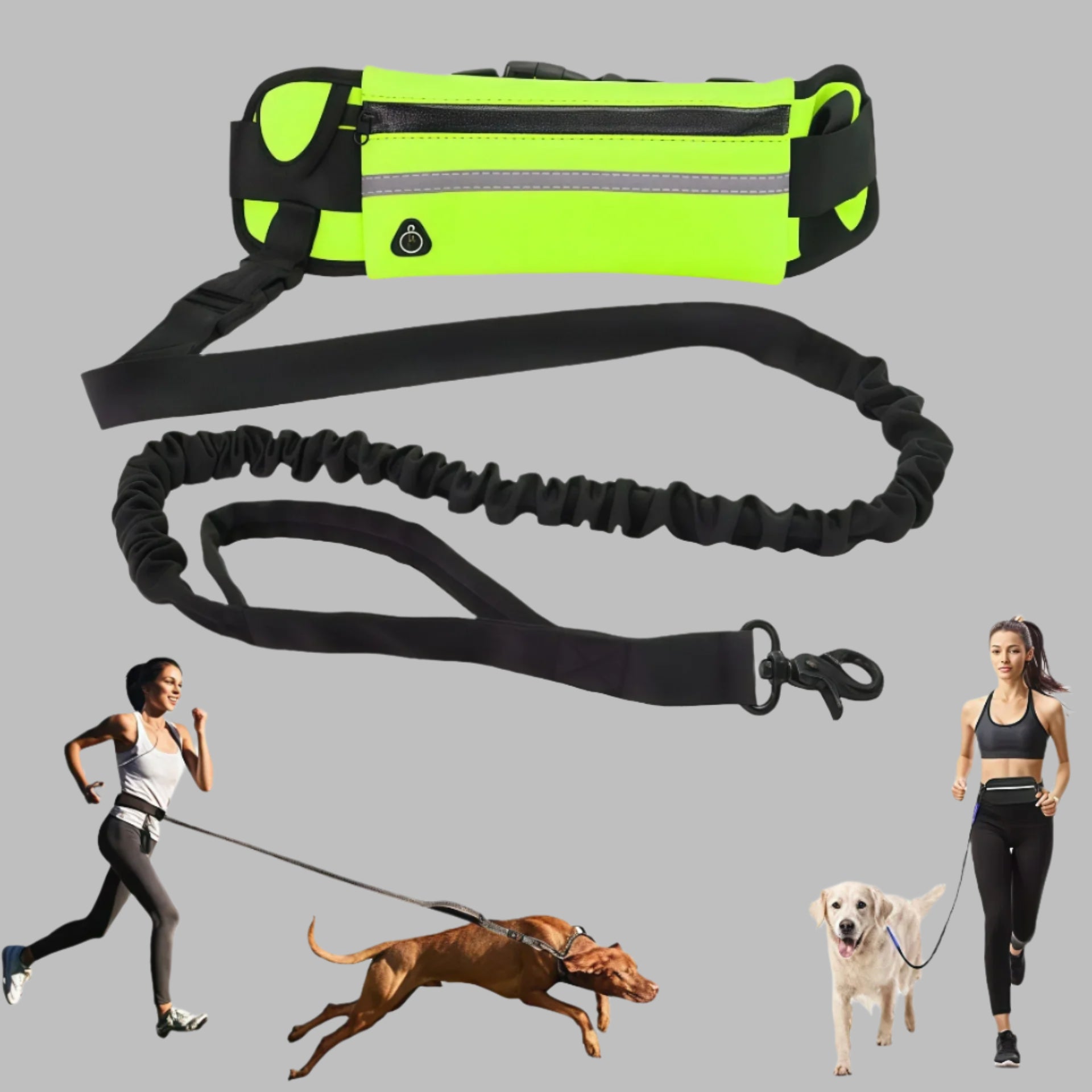 Hands-Free Dog Running Leash with Adjustable Waist Bag – Reflective & Shock-Absorbing Design - Ravar